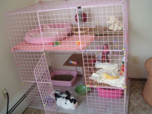 storagecubes_my-bunnies-storage-cube-cage_2290161b463bd24_740